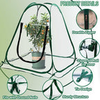 Plant Mini Greenhouse Pop Up Transparent Greenhouse Freeze Protection PVC Plant - Image 2
