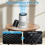 2 Pack MR2566 Filter for MORENTO MR2566 Replacement Filter, 3-in-1 True - Image 6