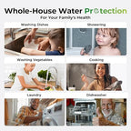 iSpring WGB31B-KSNC Whole House Water Filter System, SGS-Tested to Remove up to - Image 6