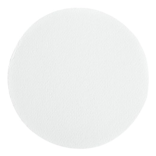 Whatman 10411413 White PTFE Membrane Filter Circle, 50mm Diameter, 0.2 Micron by Whatman