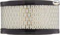 Replacement Paper element for air compressor REPLACES CAMPBELL HAUSFELD by Unknown