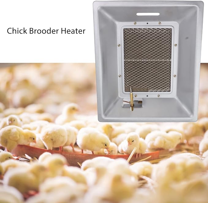 Chick Gas Brooder Heater, Chicken Coop Heater, Manual Infrared Ceramics - Image 9