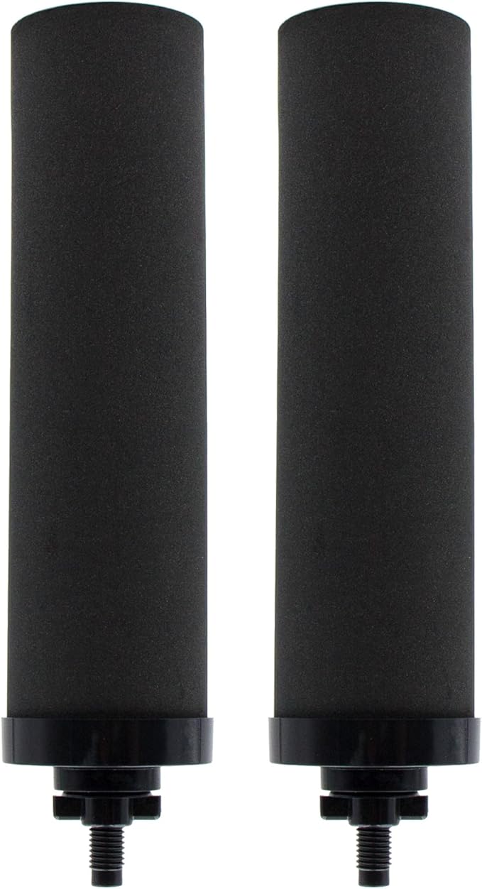 Water Filter Replacement for BB9-2® Black Activated Carbon Filters, Compatible by Renami