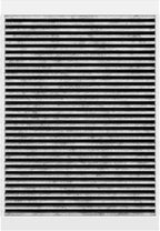 Spearhead Odor Defense Breathe Easy AC & Heater Cabin Filter | Fits 2015-25 - Image 8