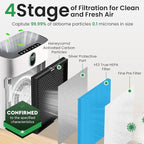 4 Pack HY4866 True HEPA Replacement Filter Compatible - Image 5