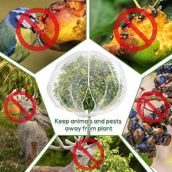 5.9 x 5.9 ft Fruit Tree Netting Cover - Image 4