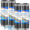 Brightify 10"x2.5" 5 Micron Carbon Water Filter, Whole House Carbon CTO Water by Brightify