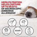 Honeywell HEPA Air Purifier Filter G, Pet Dander, and Dust - Image 5