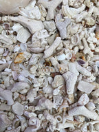 Middle Keys Marine Life LLC Florida Keys Crushed Coral Aquarium Gravel 2.5 LB - Image 4