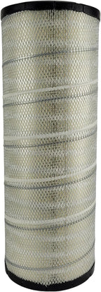 Heavy Duty Air Filter DA2976 - Image 4