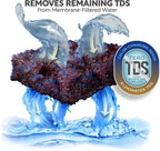 Aquatic Life Color Changing Deionization DI Resin - Image 7