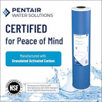 Pentair Pentek GAC-10 Carbon Water Filter, Under Sink Granular Activated Carbon - Image 3