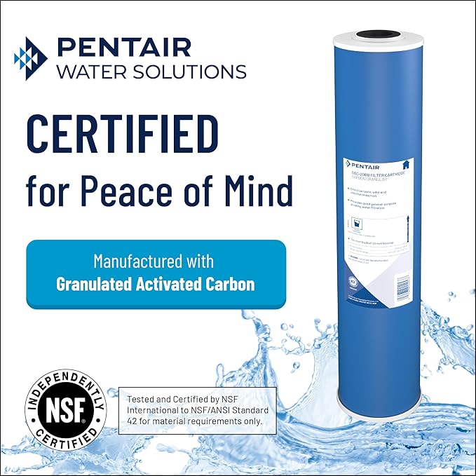 Pentair Pentek GAC-20 Carbon Water Filter, Whole House Granular Activated - Image 3