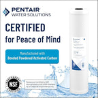 Pentair Pentek CBC-20BB Big Blue Carbon Water Filter, Whole House Carbon Block - Image 3