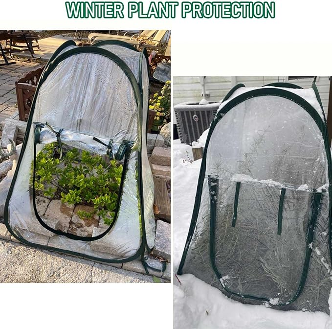 Plant Mini Greenhouse Pop Up Transparent Greenhouse Freeze Protection PVC Plant - Image 7