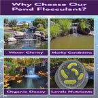 PONDSCAPE Pond Flocculant – Clears Cloudy & Murky Pond Water – Fast-Acting - Image 4