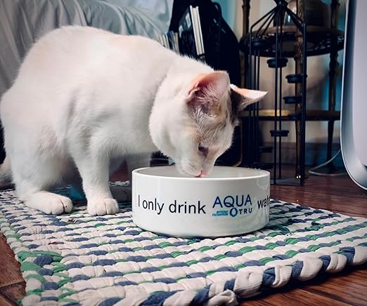 AquaTru Carafe Smart Countertop Water Purifier | App-Connected 4-Stage Reverse - Image 8