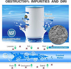 71825 Replaces Hot Springs Spa Filters, Compatible - Image 3
