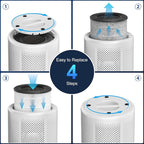 Tailulu 2 Pack D10 Replacement Filter, Air Purifier Filter - Image 4