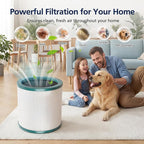 TP01 HEPA Filter Replacement Compatible - Image 6