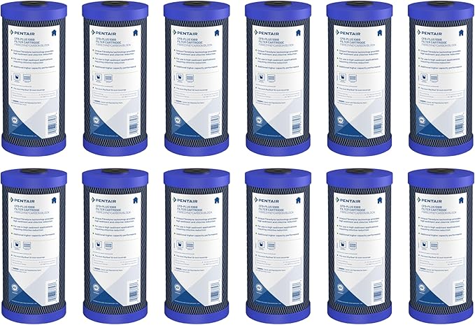 Pentair Pentek CFB-Plus10BB Big Blue Carbon Water Filter, Whole House Fibredyne by PENTAIRPENTEK