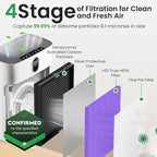 4 Pack Purple HY4866 Replacement Filters – Compatible - Image 5