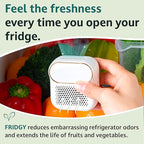 Fridge Air Purifier | Keeps Fridge Odor-Free & Produce Fresh Longer | Compact - Image 2