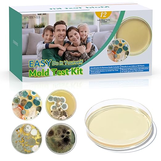 Mold Test Kit for Home by ENESNES