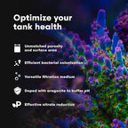 Brightwell Aquatics - Image 4