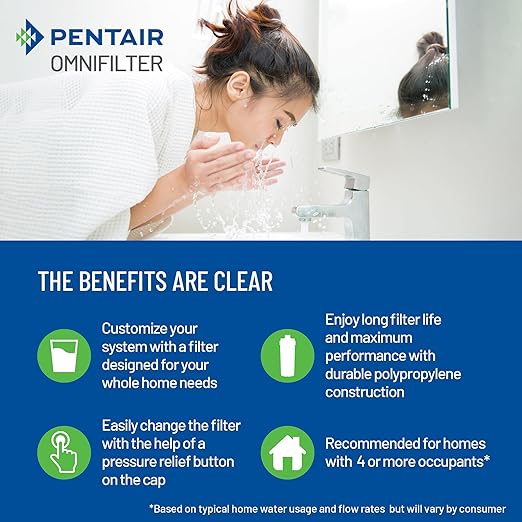 Pentair OMNIFilter Whole Home 20" Heavy-Duty Big Blue Water Filtration System - Image 6