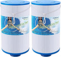 TOREAD Spa Filter Replaces Watkins 303279, PFF42TC-P4, AquaTerra Hot Tub Filters by TOREAD