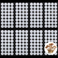 Zonon 256 Pieces Synthetic Filter Paper Stickers 20 mm 0.3 ?m Synthetic Filter by Zonon