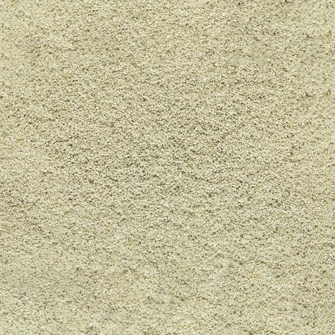 Swimming Pool Sand Filter Alternative - Image 2