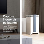 IQAir GC MultiGas XE Air Purifier - Image 2
