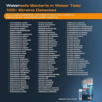 Watersafe® Bacteria Water Test Kit – USA-Made – Results as Fast as 6 Hours – - Image 4