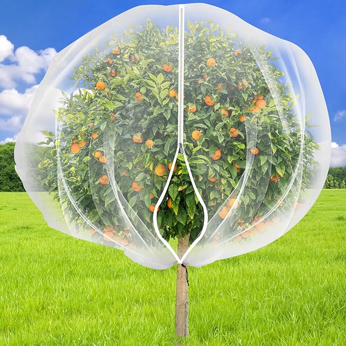 5.9 x 5.9 ft Fruit Tree Netting Cover by ZYP