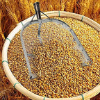 Leaking Soil Shovel Filter Stainless Steel Sieve 4mm/6mm/8mm/12mm Mesh Sifting - Image 3