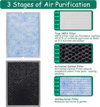 MSA3/MSA3S Filter Replacement, Compatible - Image 3