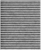 Spearhead Odor Defense Breathe Easy AC & Heater Cabin Filter | Fits Altima - Image 8
