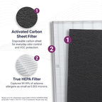 Genuine Winix Filter S +SmokeGuard - Image 3