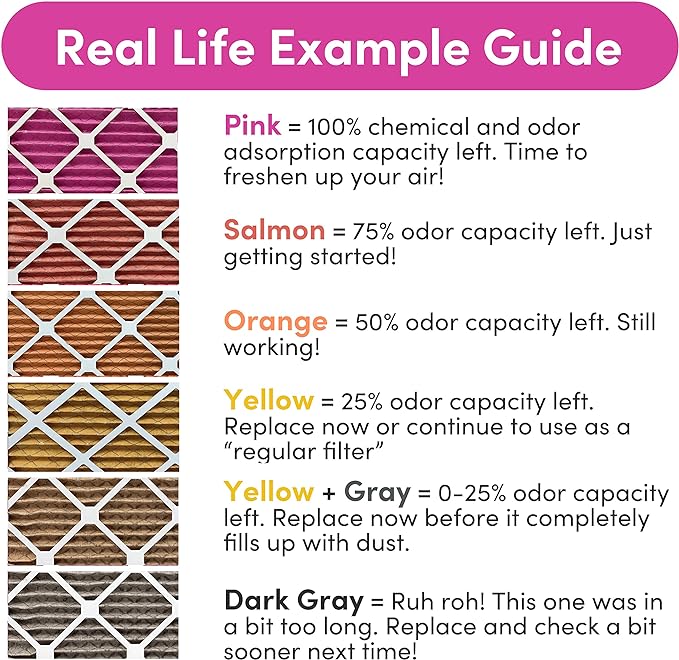 Colorfil 12x12x1 Air Filter | Made in the USA | Color Changing | Remove Cat and - Image 2