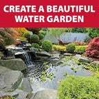 The Pond Guy AllClear Ecosystem Kit – Complete DIY Fishpond - Image 8