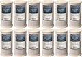 Bluonics Carbon Block Water Filters 12 pcs 4.5" x 10" Cartridges by BLUONICS